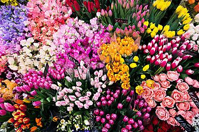 《福尔摩斯：罪与罚》NS版最新实机截图 游戏于2月4日发售