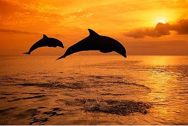 AI驱动生活模拟游戏《Paradise》Steam页面 支持中文