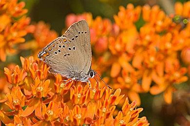 《无畏契约》国服终测更新 新增地图“莲华古城”